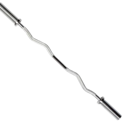 Troy Barbell Troy Olympic Curl Bar