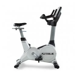 True Fitness True ES900 Upright Bike
